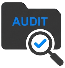Account Audit